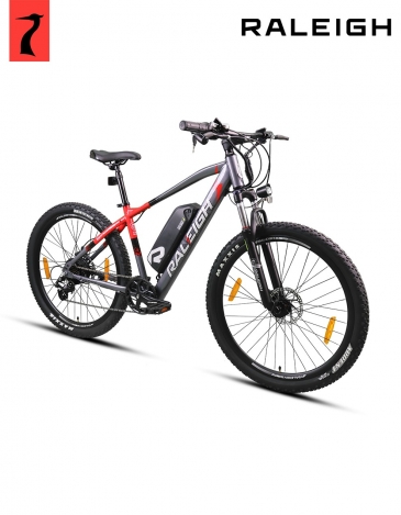 raleigh e surge pro 7speed bike