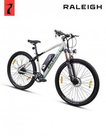 raleigh e surge bike single speed