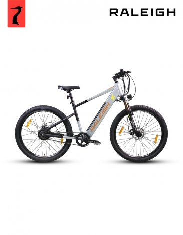 Overvolt 29.5 Inch Electric Bicycle with 250W brushless hub motor, 10.4Ah Li-ion battery, suspension fork, and mechanical disc brakes.