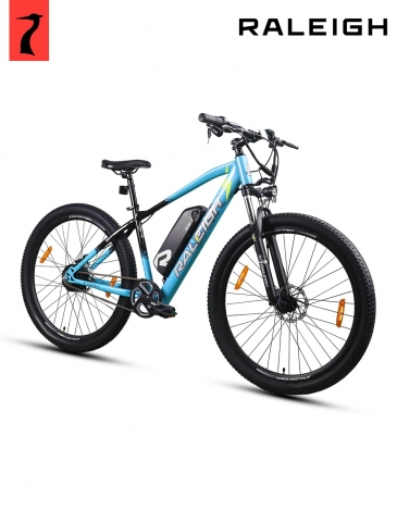 raleigh e surge bike single speed eco