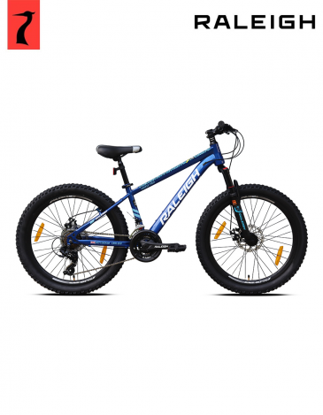 raleigh phase pro multispeed bicycle