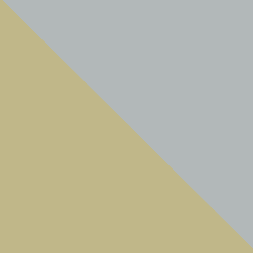 GOLDEN/GREY